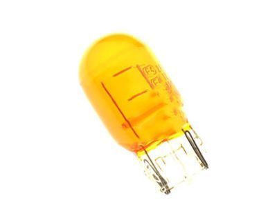 Ford DT1Z-13466-A Parking Lamp Bulb