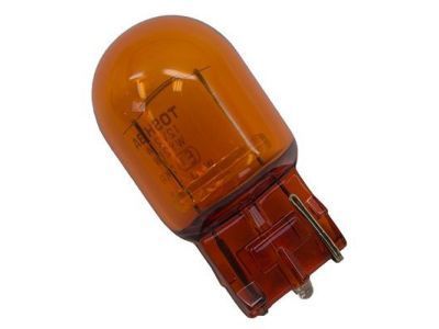 Ford DT1Z-13466-A Parking Lamp Bulb