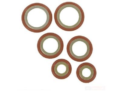 Ford DS7Z-19B596-A A/C Tube Gasket Set