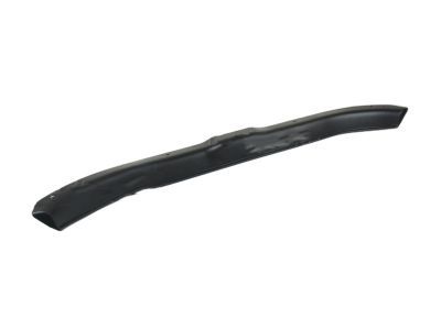 Mercury 1W7Z-5411318-AAA Sill Molding