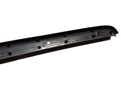 Ford 3L3Z-83291A41-AAB Upper Molding