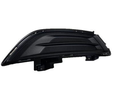 Ford DS7Z-17B814-AA Side Trim