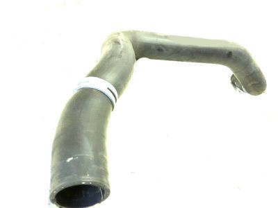 Ford DB5Z-8C289-C Reservoir Hose