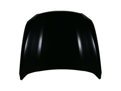 Ford Special Service Police Sedan Hood - DG1Z-16612-A