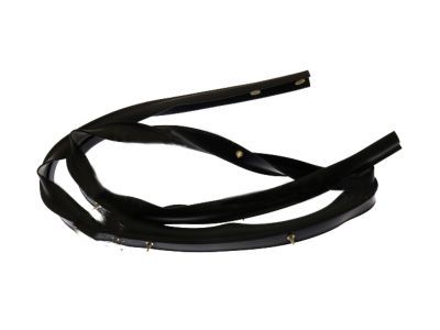 Mercury 8L2Z-78253A45-A Lower Seal Strip