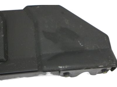 Ford GL3Z-16451-AD Running Board