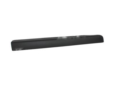 Ford AG1Z-5420879-AA Side Molding