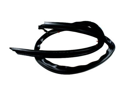 2009 Ford F-250 Super Duty Weather Strip - 9C3Z-2651222-A