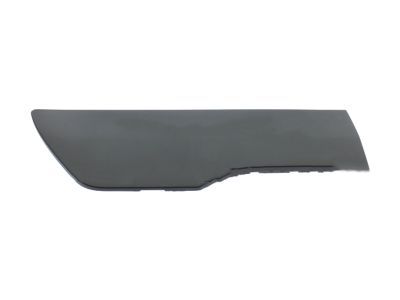 Ford DT1Z-6129076-CB Body Side Molding