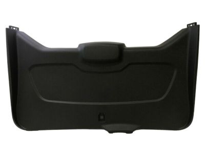 Ford DT1Z-1740704-AA Lower Trim Panel