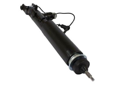 Lincoln DE9Z-18125-J Shock Absorber