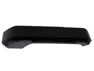 Ford FL3Z-1822643-AA Armrest Cover