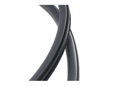 Lincoln GD9Z-5420708-A Weatherstrip On Body