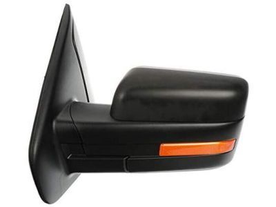 Ford BL3Z-17683-FAPTM Mirror