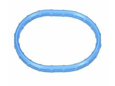 Mercury 1L2Z-9461-CA Manifold Gasket