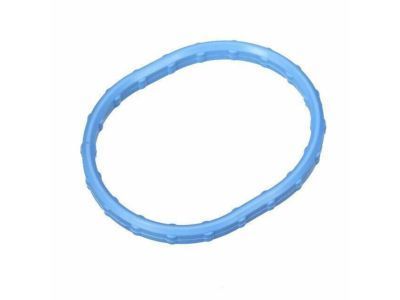 Mercury 1L2Z-9461-CA Manifold Gasket