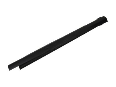 Ford CP9Z-5810176-B Rocker Molding