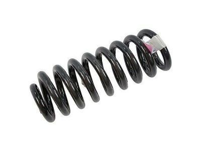 Ford F-250 Super Duty Coil Springs - 2C3Z-5310-WA