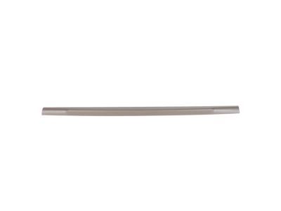 Ford BC3Z-9940602-A Tail Gate Molding