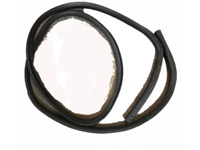 Ford BL3Z-16253A11-A Weatherstrip On Body