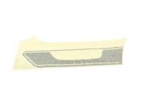 Ford DR3Z-6320000-AAR Quarter Stripe, Gray, Passenger Side Ford DR3Z-6320000-AAR Quarter Stripe, Gray, Passenger Side