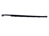 Ford FR3Z-6321452-E Weatherstrip Assembly - Door Window