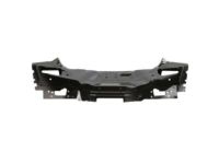 Ford DP5Z-5440320-B Panel Assembly - Back