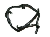 Ford DV6Z-8075-B Hose Assembly