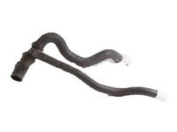 Ford 5L3Z-8286-AD Lower Hose Ford 5L3Z-8286-AD Lower Hose