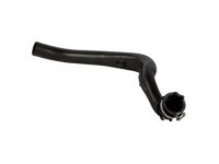 Ford FL3Z-9R530-C Hose Assembly