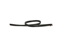 Ford DT1Z-16A238-A Weatherstrip