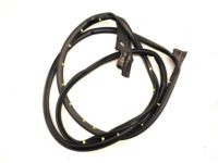 Ford BB5Z-7820531-A Door Weatherstrip, Front Outer Driver Side Ford BB5Z-7820531-A Door Weatherstrip, Front Outer Driver Side