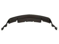 Ford AR3Z-17D957-BB Valance Panel, Front Ford AR3Z-17D957-BB Valance Panel, Front