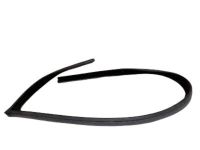Ford YS4Z-6121597-AB Weatherstrip, Driver Side Ford YS4Z-6121597-AB Weatherstrip, Driver Side