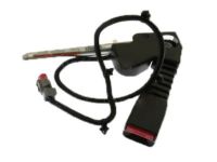 Ford 4L5Z-1061203-ABA Buckle Assembly - Seat Belt