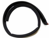 Ford F2UZ-1520518-C Weatherstrip Assy - Door Opening