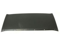 Ford CJ5Z-8419-AA Panel - Finish