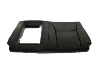 Ford FL3Z-1666801-C Pad - Rear Seat Back