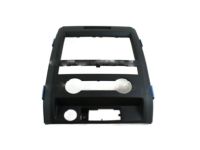 Ford BL3Z-1504302-CA Center Panel, Black Ford BL3Z-1504302-CA Center Panel, Black