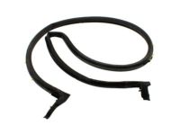 Ford F3UZ-1543723-A Weatherstrip