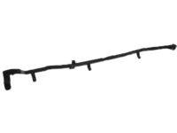 Ford FT4Z-5825324-C Weatherstrip