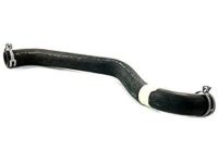 Ford 4L1Z-8260-AA Upper Hose Ford 4L1Z-8260-AA Upper Hose