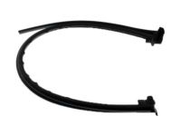 Ford F81Z-28253A36-AA Weatherstrip