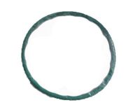 Ford 4L3Z-9276-AA Gasket