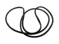 Ford 2W1Z-5425325-AA Door Weatherstrip, Driver Side Ford 2W1Z-5425325-AA Door Weatherstrip, Driver Side