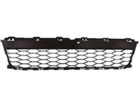 Ford FB5Z-17K945-AA Grille - Bumper