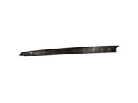 Ford 9L3Z-99291A40-BA Moulding