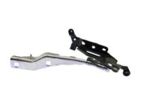 Ford FL3Z-16796-A Hinge Assembly - Hood