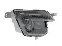 Ford FB5Z-15200-G Lamp Assembly - Fog - Front