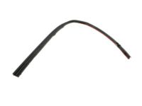 Ford 8L5Z-1051222-A Weatherstrip - "A" Pillar